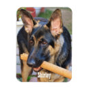 Search for german shepherd magnets Tan