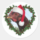 Search for rhode island red stickers Hen