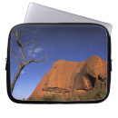 Search for public land cases Environment