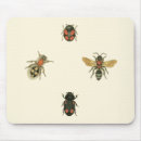 Search for beetle mouse mats Insects