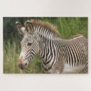 Search for african animals puzzles Fun