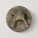 Search for toad badges Frogs