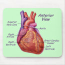 Search for human anatomy mouse mats Biology