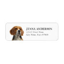 Search for beagle return address labels Dog lover