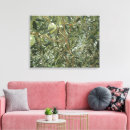 Search for olive tree canvas prints Botanical