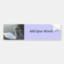 Search for pond bumper stickers Animal
