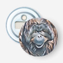 Search for zoos barware Nature