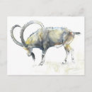 Search for ibex postcards Animal
