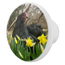 Search for door handles knobs and pulls Kitchen