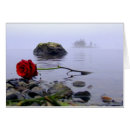 Search for ashore Waves