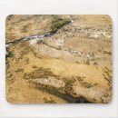Search for migrating mouse mats Wildlife