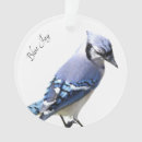 Search for blue jay christmas tree decorations Wildlife