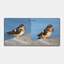 Search for swallow electronics Animal