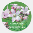Search for positive affirmation stickers Confidence