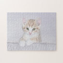 Search for tabby cat puzzles Kitten