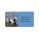 Search for pelican return address labels Ocean