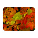 Search for state park magnets Green
