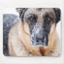 Search for covered mouse mats Winter