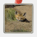 Search for red fox christmas tree decorations Kit