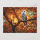 Search for fall owl postcards Pagan