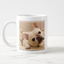Search for big head mugs Dog