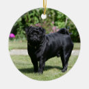 Search for alert christmas tree decorations Pug