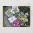 Search for clematis postcards Garden