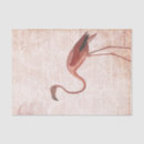 Search for flamingo tissue paper Florida