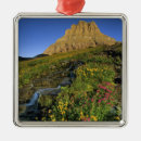 Search for creek christmas tree decorations Park