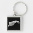 Search for asteroids key rings Universe