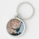 Search for penny key rings Photography