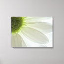 Search for petal canvas prints Flowers