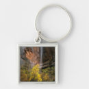 Search for gorge key rings National park