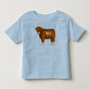 Search for highland cow tshirts Beef