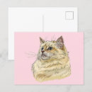 Search for hand drawing postcards Animal