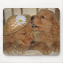 Search for goofy mouse mats Cute