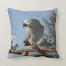 Search for african cushions African grey parrot