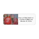 Search for blom Pink flower