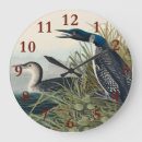 Search for loon clocks Birds of america