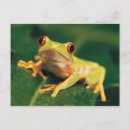 Search for tree red postcards Outdoors