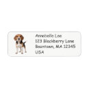 Search for hunting dogs return address labels Puppy