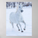 Search for white horse running posters Snow