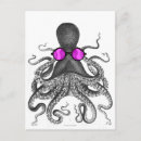 Search for octopus postcards Water