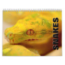 Search for snake calendars Reptile