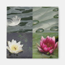 Search for pretty patterns magnets Flowers