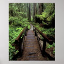 Search for smith posters Jedediah smith redwoods