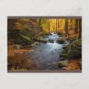 Search for autumn forest postcards Nature