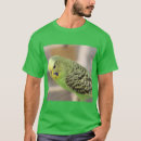 Search for budgie clothing Parakeet