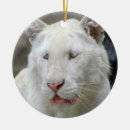 Search for rare christmas tree decorations Animal