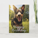 Search for kelpy cards Dogs